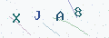 验证码